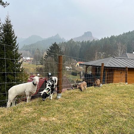 Natur Resort Jetrichovice Екстериор снимка
