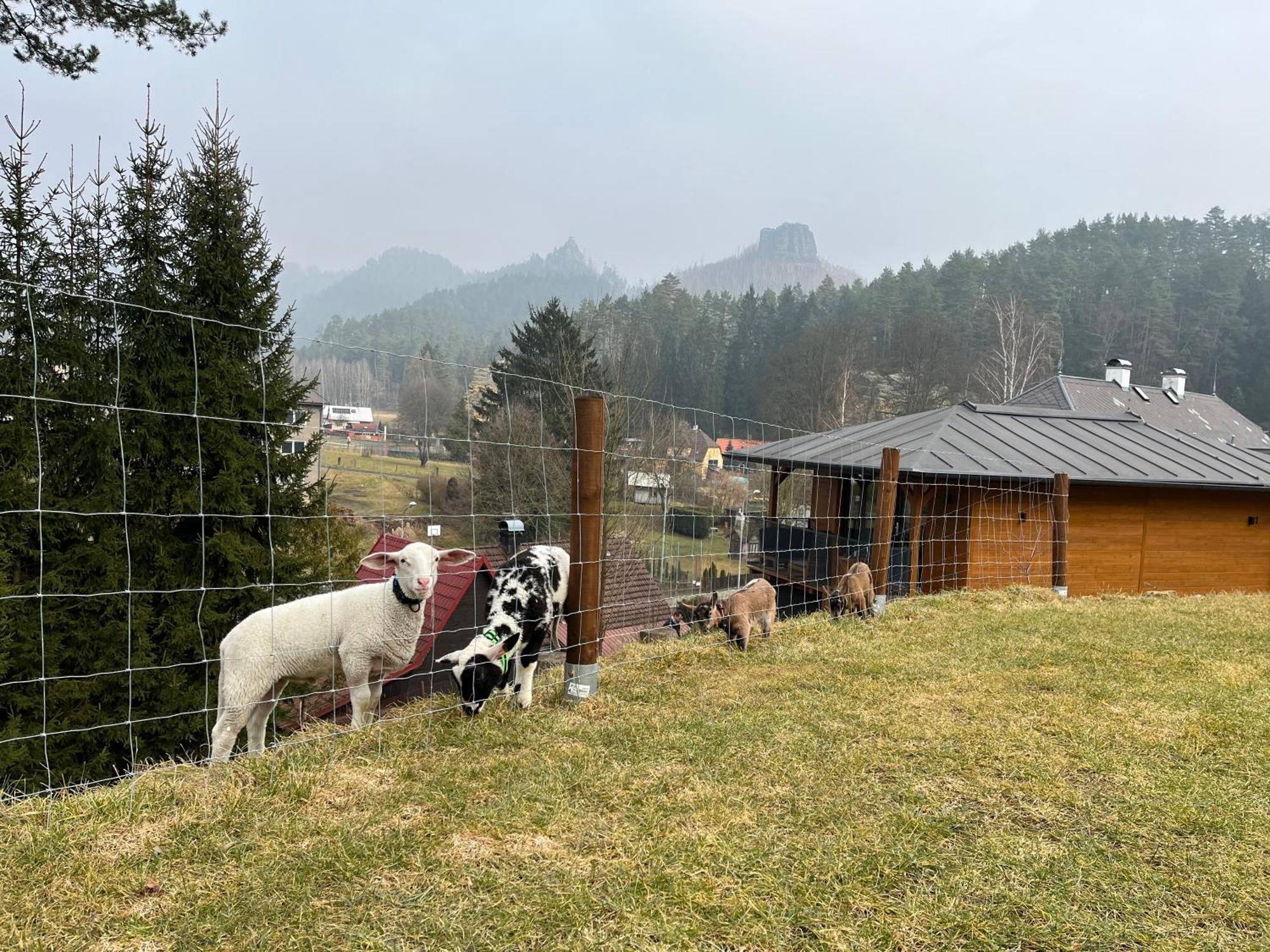 Natur Resort Jetrichovice Екстериор снимка
